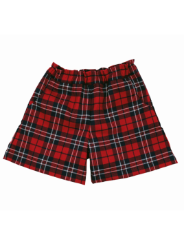 shorts in tartan 