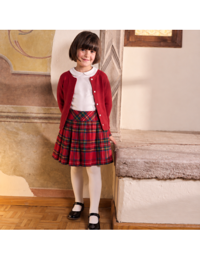 kilt in tartan