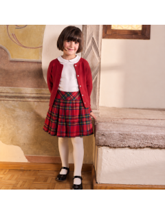 kilt in tartan