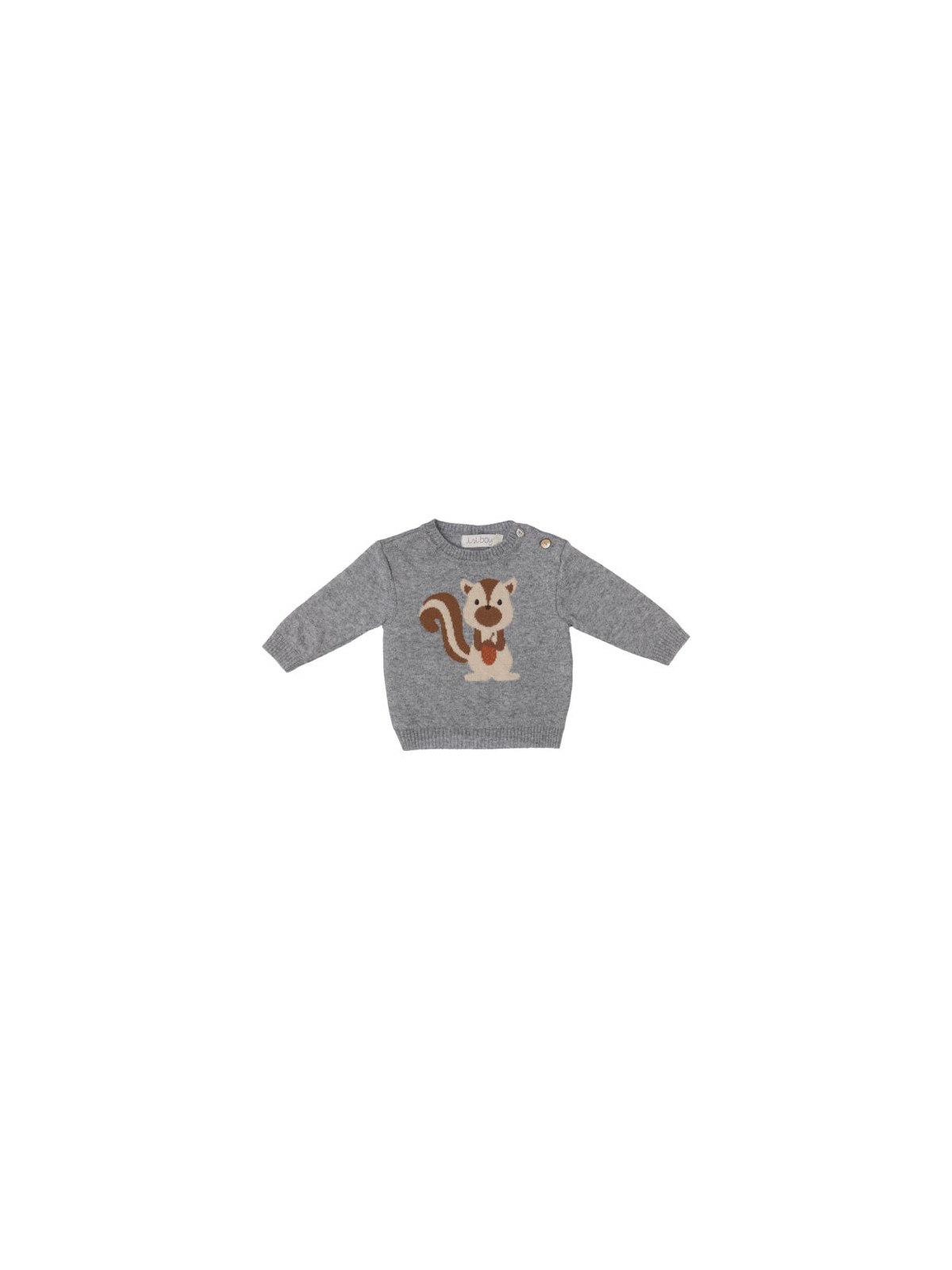 pullover in lana/cashmere con jacquard scoiattolo