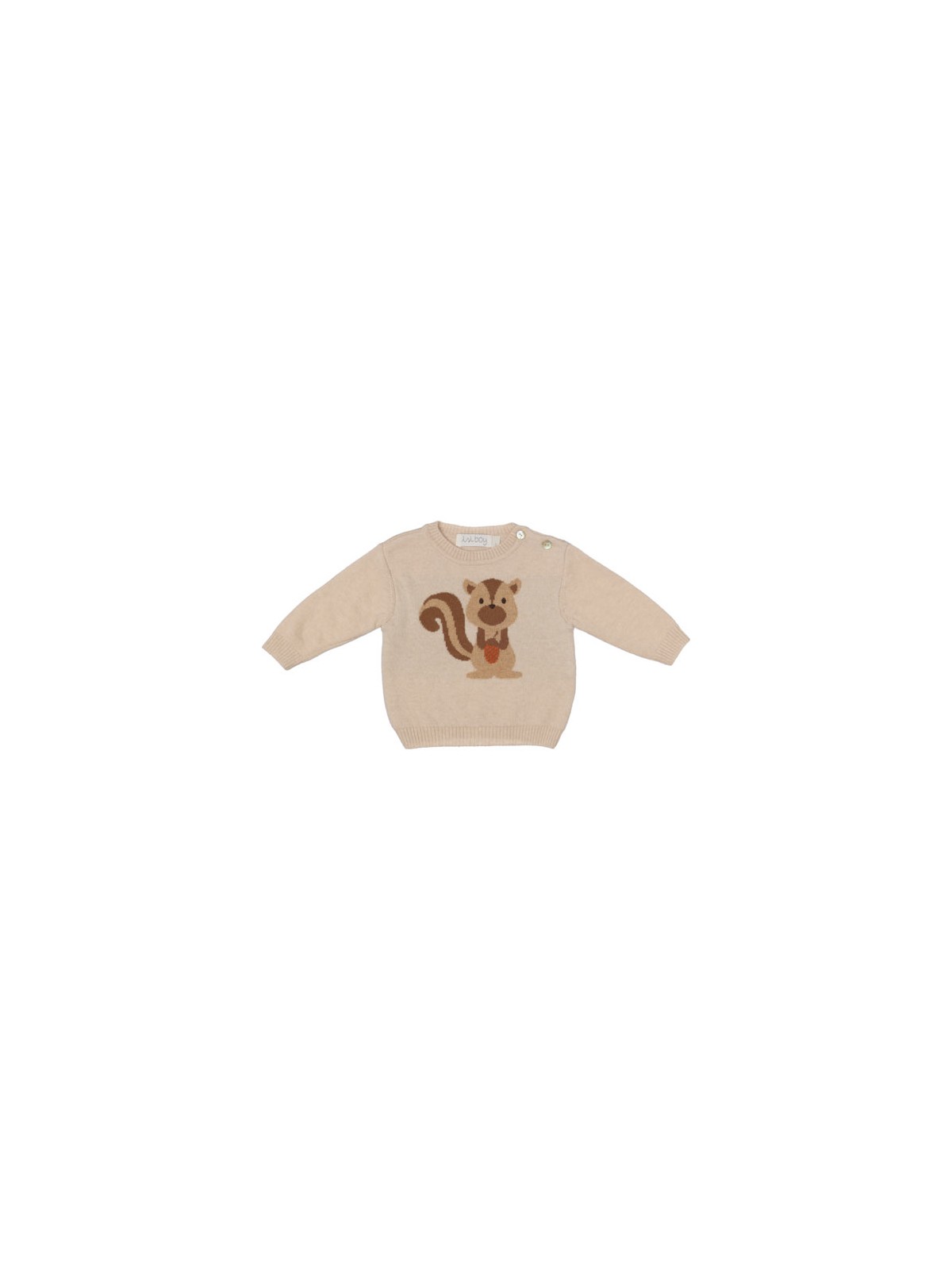 pullover in lana/cashmere con jacquard scoiattolo