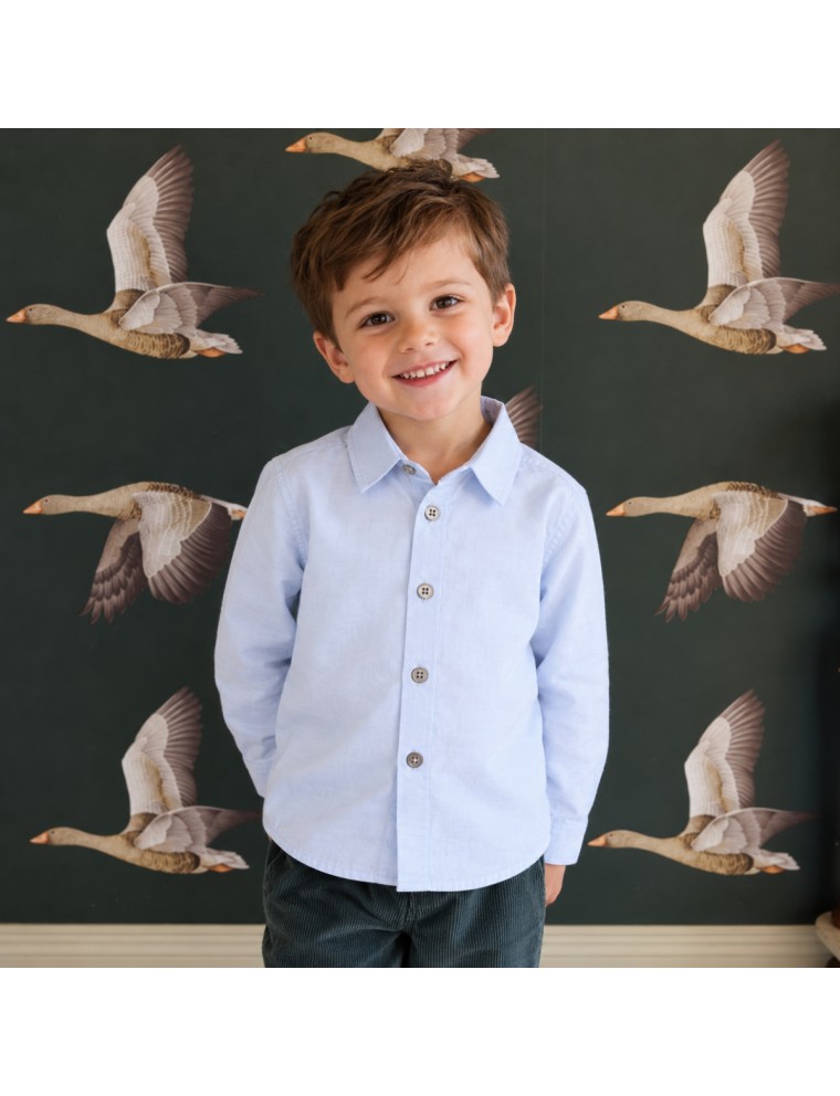 camicia in oxford